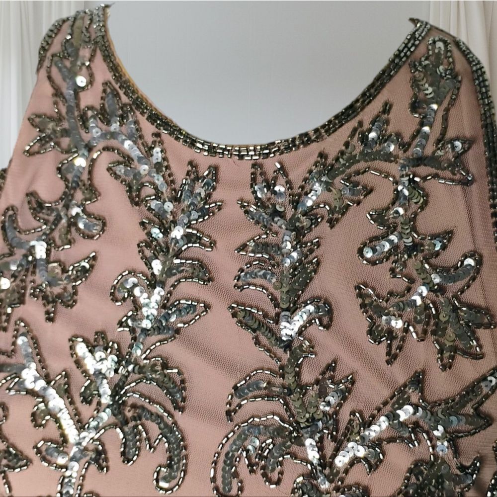 Adrianna Papell Embellished Chiffon Sheath Cocktail Dress Size 8 - Picture 12 of 16